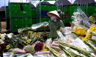 Hàng vạn cành hoa Đà Lạt không xuất khẩu được phải đổ bỏ, Bộ Nông nghiệp nói gì?