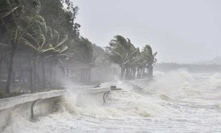 Bão số 2 cách đất liền Hải Phòng, Nghệ An 130km, gió giật cấp 10
