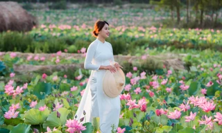 Đẹp mê hồn cánh đồng sen nổi tiếng xứ Quảng