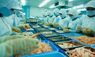 Có thể tăng tuổi nghỉ hưu từ năm 2021