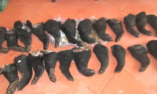 Hành khách vứt 22 chân, tay gấu để 'chạy lấy người'