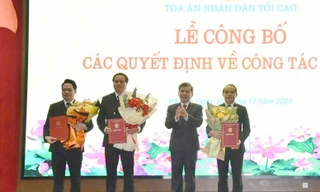 Chủ tịch nước bổ nhiệm Phó Chánh án Tòa án nhân dân Tối cao