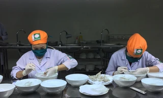 Nhân viên đang sơ chế tổ yến nuôi