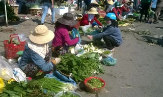 Hàng rau của các tiểu thương chợ Đông Hà. Ảnh: Thanh Trần. 