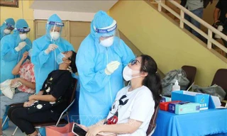 Lấy mẫu test nhanh COVID-19 tại nhà. Ảnh: Thái Hà