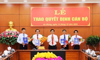 Điều động, bổ nhiệm, chỉ định cán bộ chủ chốt ở 7 tỉnh thành