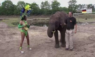 RADIO WORLD CUP tối 3/7: 'Voi tiên tri' bắt Đức thắng Pháp