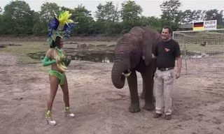 RADIO WORLD CUP tối 3/7: 'Voi tiên tri' bắt Đức thắng Pháp