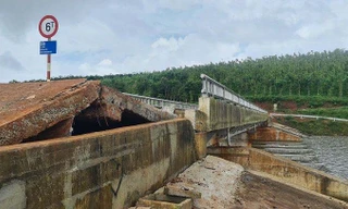 Thủ tướng yêu cầu tập trung ứng phó mưa lũ, sụt lún, sạt lở đất ở Tây Nguyên