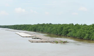Khu Bảo tồn thiên nhiên đất ngập nước Tiền Hải là một trong hai vùng lõi của Khu dự trữ sinh quyển châu thổ sông Hồng Ảnh: TL 