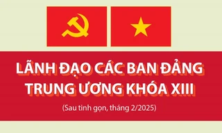 [Infographic] Lãnh đạo các Ban Đảng Trung ương khóa XIII sau tinh gọn