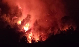 Rừng ở Hà Tĩnh bốc cháy ngùn ngụt, hàng trăm người dập lửa trong đêm