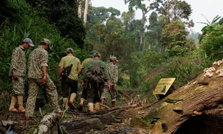 Cắm quân giữ rừng, ngăn 'vàng tặc' trở lại vườn quốc gia Sông Thanh