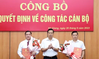 Điều động, bổ nhiệm, chỉ định nhân sự chủ chốt 8 tỉnh, thành