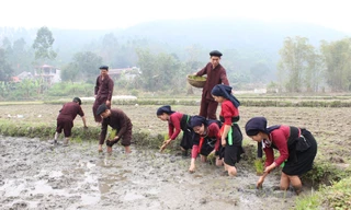 Nhiều Làng văn hóa kiểu mẫu dần hình thành