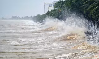 Bão áp sát đất liền Quảng Ninh – Hải Phòng, gió giật cấp 13
