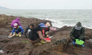 Mưu sinh bên 'miệng thủy thần' 