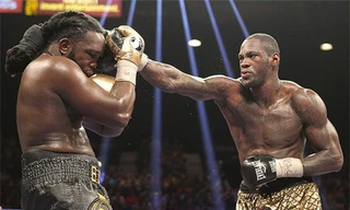 Wilder (phải) muốn thống nhất bốn đai vô địch.
