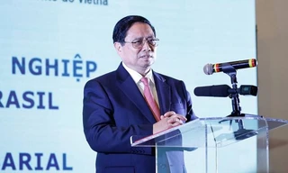 Thủ tướng: Tháo gỡ điểm nghẽn, đẩy mạnh hợp tác kinh tế Việt Nam và Brazil
