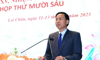 Thủ tướng Chính phủ bổ nhiệm, phê chuẩn nhân sự mới