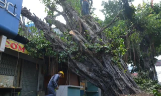 Hiện trường vụ việc