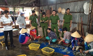 Lực lượng chức năng bắt quả tang hành vi bơm tạp chất vào tôm nguyên liệu