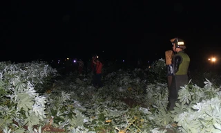 Lời kể của nhân chứng vụ bắn chết nữ sinh rồi tự sát ở Đồng Nai