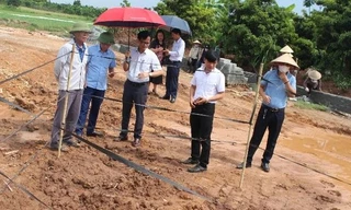 Đề xuất khai quật khẩn cấp mộ cổ vừa phát hiện ở Hà Nội