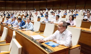Công chức, viên chức không được thành lập, góp vốn và quản lý doanh nghiệp