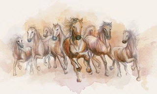 Chúc đoàn kết như đàn ngựa trên thảo nguyên 