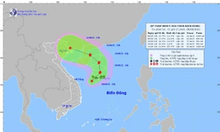 Áp thấp nhiệt đới trên Biển Đông có khả năng mạnh lên thành bão, gió giật cấp 8