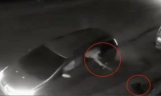 Bản tin 8H: Nhóm thanh niên lái ô tô đi trộm chó