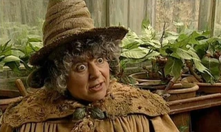 Cát-xê cho vai diễn 3 phút trong ‘Harry Potter’