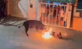 Khoảnh khắc thanh niên bị bò tót húc chết trong lễ hội ở Tây Ban Nha