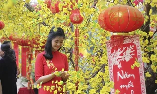 Bản tin 8H: Trình phương án nghỉ Tết Nguyên đán 7 ngày