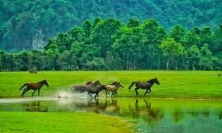 Vẻ đẹp hoang sơ, độc đáo của thảo nguyên giữa vùng núi đá
