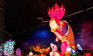 Lồng đèn cá chép khổng lồ ở TP.HCM