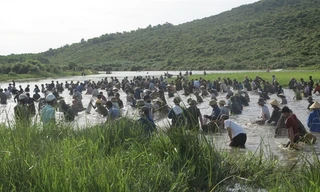 Hàng trăm người lội đầm bắt cá cầu may