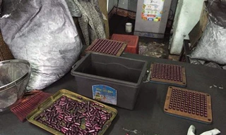 Phát hiện thuốc ung thư làm từ bột than tre