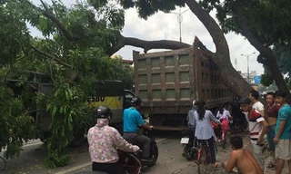 Ô tô tải húc phải cây nghiêng giữa đường suýt lật, thùng xe bẹp rúm