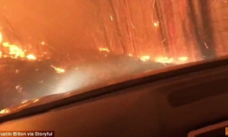 Thoát chết trong gang tấc khi lái xe băng qua biển lửa cháy rừng ở Mỹ
