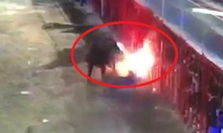 Bị đốt sừng, bò tót nổi điên húc cụ ông chết thảm