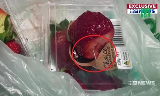 Bê bối dâu tây bị găm kim nhọn bên trong chấn động Australia