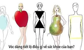 Hình dáng cơ thể bạn tiết lộ nguy cơ sức khỏe như thế nào