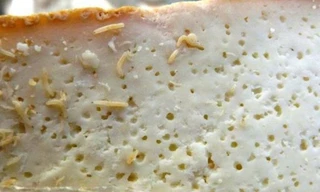 Phomat giòi - đặc sản cấm của Italy