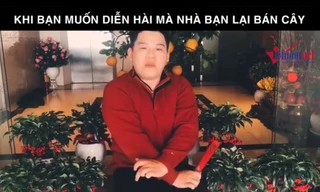 Khi bạn có năng khiếu diễn kịch mà nhà bạn lại bán cây