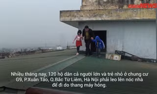 Thang máy hỏng, người già bò thang bộ, trẻ nhỏ đi trên nóc nhà