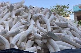 4 cơ sở sử dụng lưu huỳnh chế biến sắn