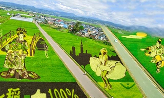 Những bức tranh 3D tuyệt đẹp được vẽ trên đồng lúa