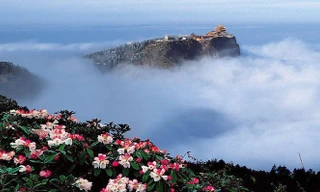 Lạc bước vào chốn bồng lai tiên cảnh ở núi Nga Mi